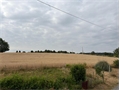 Photo numero 48226709 du bien UBI481352024
